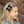 Load image into Gallery viewer, Halo Luxe Rosette Velvet Double Clip Set - Navy