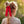 Load image into Gallery viewer, Halo Luxe Avery Ribbed Knit Long Tail Scrunchie - Red