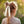 Load image into Gallery viewer, Halo Luxe Avery Ribbed Knit Long Tail Scrunchie - Ivory