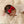 Load image into Gallery viewer, Halo Luxe Rosette Velvet Baby Band - Red