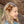Load image into Gallery viewer, Halo Luxe Rosette Velvet Double Clip Set - Caramel
