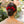 Load image into Gallery viewer, Halo Luxe Rosette Velvet Double Clip Set - Red
