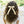 Load image into Gallery viewer, Halo Luxe Rosette Velvet Long Tail Clip - Cream
