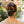 Load image into Gallery viewer, Halo Luxe Rosette Velvet Double Clip Set - Caramel

