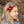 Load image into Gallery viewer, Halo Luxe Rosette Velvet Double Clip Set - Red
