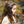 Load image into Gallery viewer, Halo Luxe Goldie Woolen Clip Set - Gray

