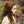 Load image into Gallery viewer, Halo Luxe Goldie Woolen Clip Set - Red
