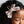Load image into Gallery viewer, Halo Luxe Grace Clip - Blush
