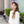 Load image into Gallery viewer, Halo Luxe Rosette Velvet Headband - Lavender
